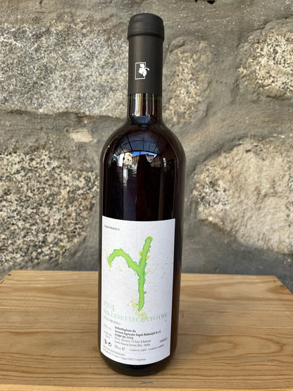 2023 - 1703 Vino Rosso - Togni Rebaioli