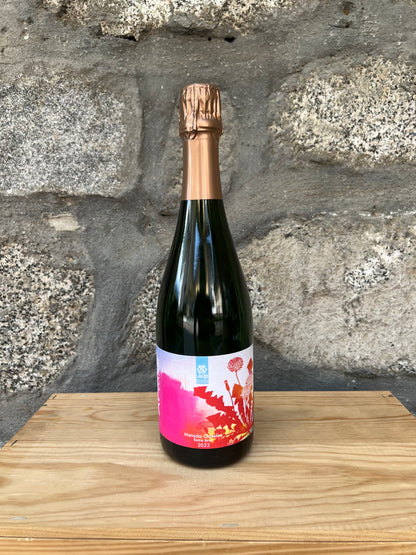2022 - Aprile Metodo Classico Extra Brut - Azienda Agricola Il Grop