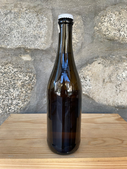 Belmostoso Bianco Frizzante - Fortunato Bressanelli