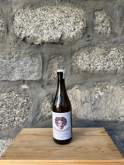 Belmostoso Bianco Frizzante - Fortunato Bressanelli