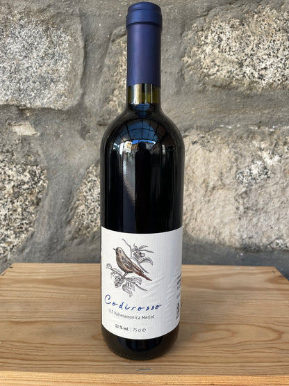 2022 - Codirosso IGT Valcamonica Merlot - Azienda Agricola Rodella