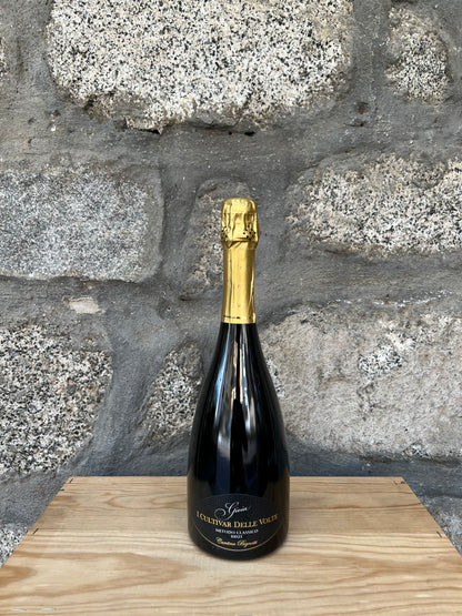 Gioia Metodo Classico Brut - Cantina Bignotti I Cultivar Delle Volte
