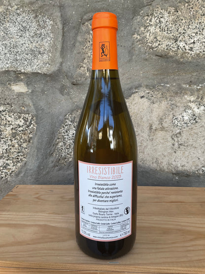 2023 - Irresistibile Vino Bianco PIWI 2023 - Agricola Vallecamonica