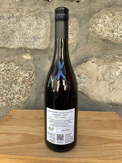 2025 - Leone Camuno Vino Rosso - Camuna Agricola
