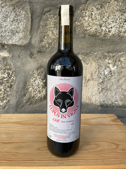 2022 - Lupus In Vigna Vino Rosso - Fortunato Bressanelli