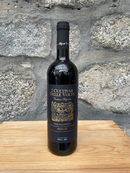 2024 - Merlot Valcamonica Rosso IGT - Cantina Bignotti I Cultivar Delle Volte