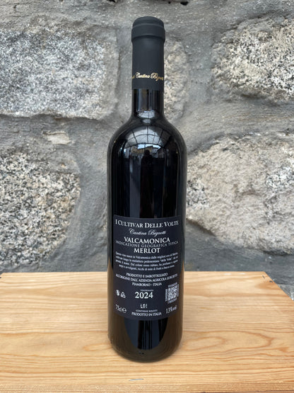 2024 - Merlot Valcamonica Rosso IGT - Cantina Bignotti I Cultivar Delle Volte