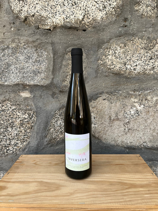 2023 - 'Nversera Vino Bianco - Azienda Agricola Oca Bianca