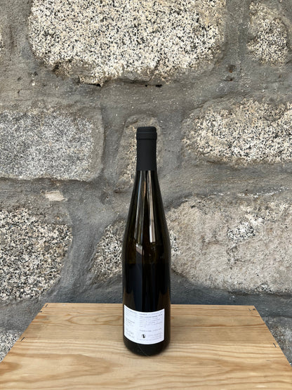 2023 - 'Nversera Vino Bianco - Azienda Agricola Oca Bianca