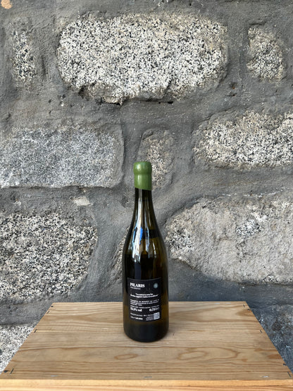 2023 - Pilaris Vino Bianco - Azienda Agricola Brichet