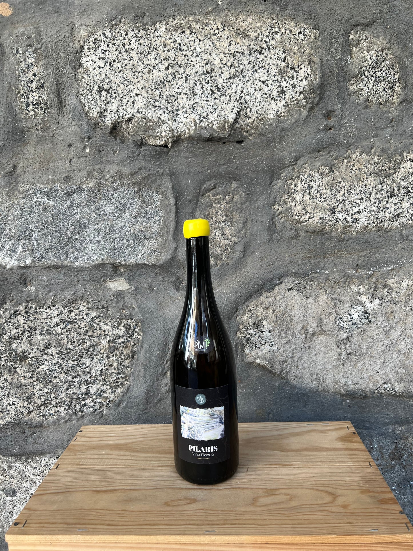 2024 - Pilaris Vino Bianco - Azienda Agricola Brichet