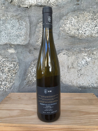 2022 - Primo Vino - Vi Bu