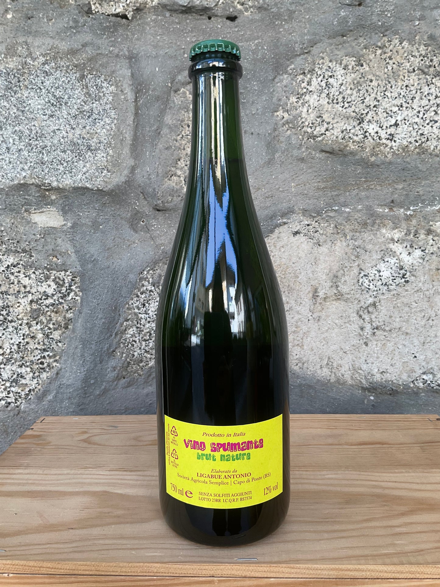 2023 - Ramarro Beat Brut Nature - Antonio Ligabue