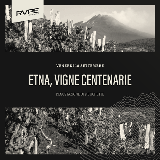 Etna, Vigne Centenarie by Dives Vinum - Venerdì 18 Settembre